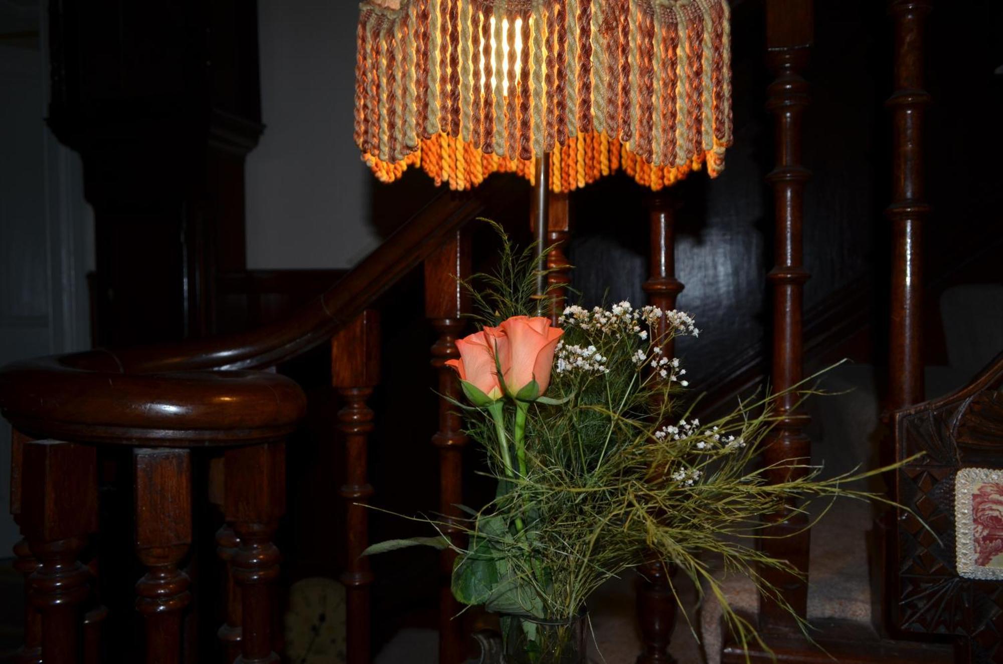 The Priory B&B Whitchurch  Luaran gambar